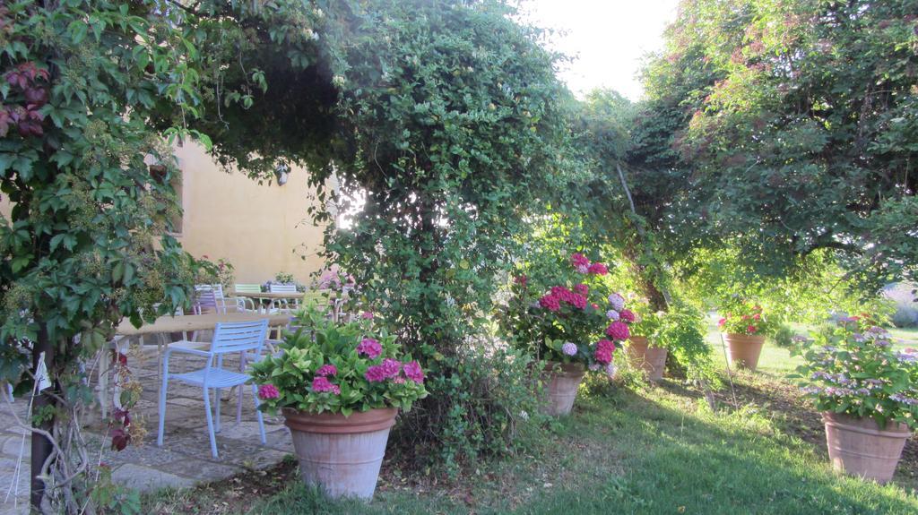 Azienda Agrituristica Podere Pratovecchio *