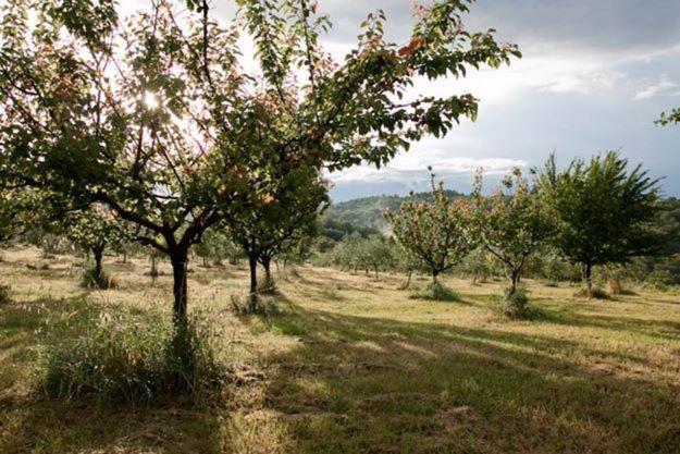 Azienda Agrituristica Podere Pratovecchio Agroturismo Siena