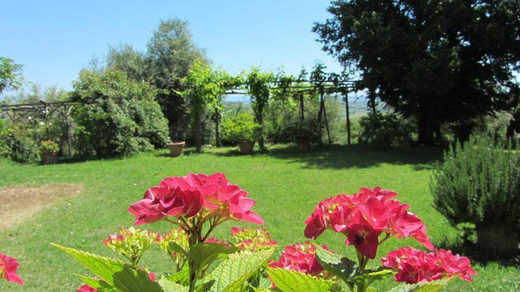 Azienda Agrituristica Podere Pratovecchio Agroturismo *
