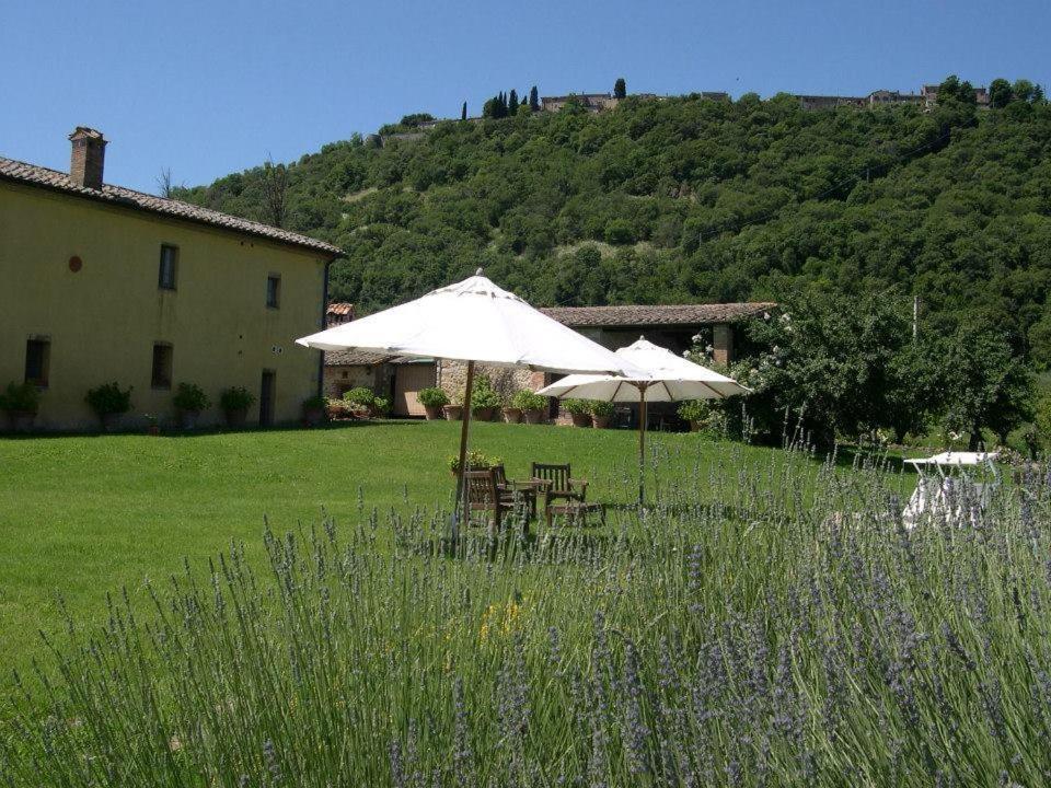 Agroturismo Azienda Agrituristica Podere Pratovecchio Siena