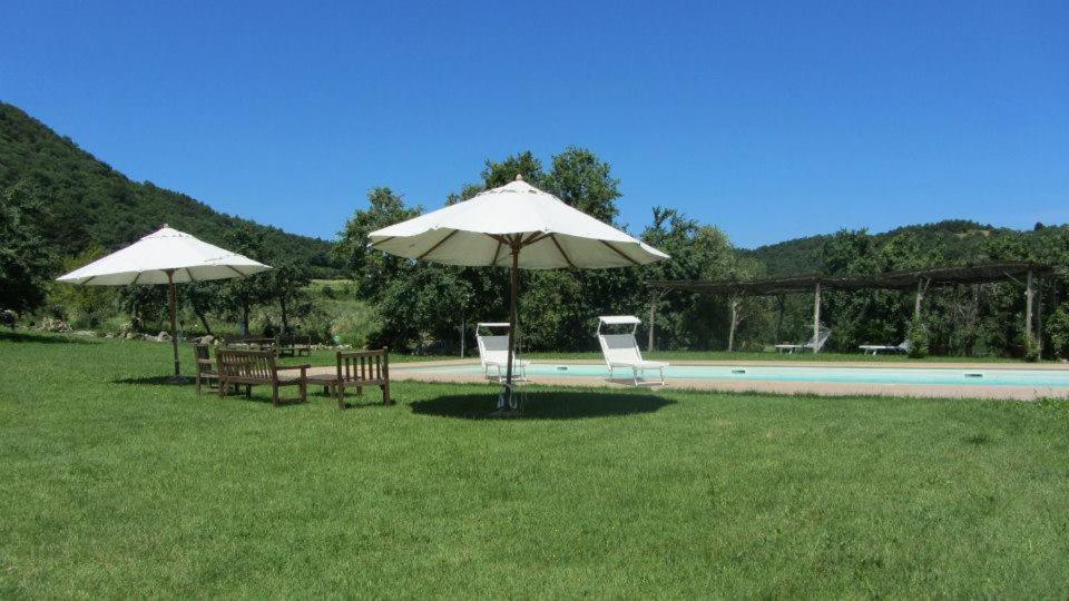 Azienda Agrituristica Podere Pratovecchio