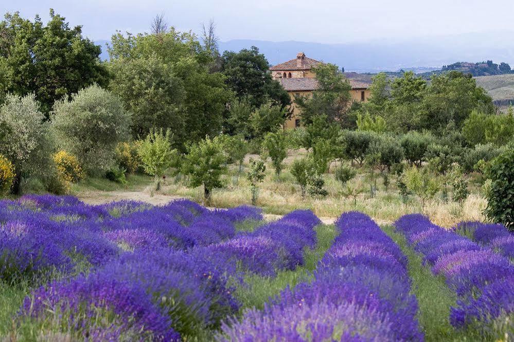 Azienda Agrituristica Podere Pratovecchio Agroturismo *